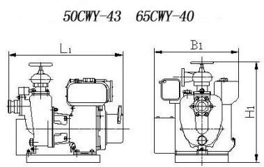 Cwy Marine Diesel Emergency Fire Pump